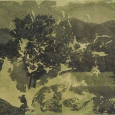 Christine Ng Mien Yin