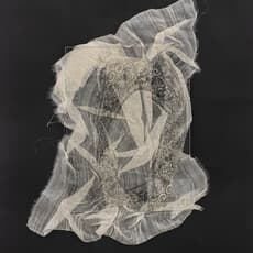 Augustine Paredes