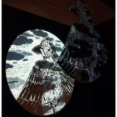 Tejswini Narayan Sonawane