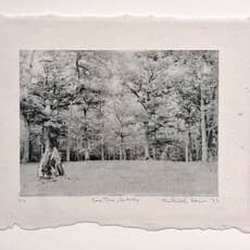 Trina Michelle Robinson