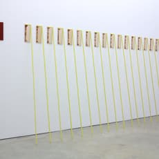 Gabriele Schmidt Heins