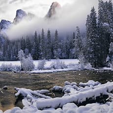 Peter Lik