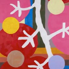 Jordy van den Nieuwendijk