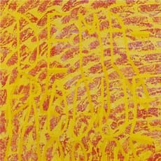 Michael Rikio Ming Hee Ho