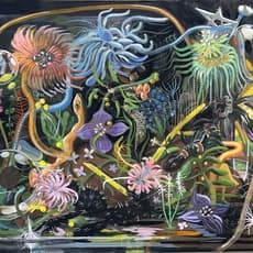 Liz Walsh