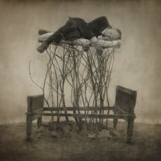 Robert Parke Harrison