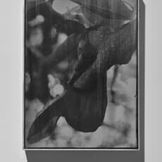 Rebecca Halliwell Sutton