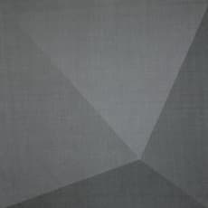 Liu Wentao 刘文涛