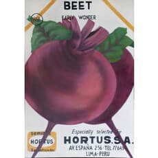 Cristina Portocarrero