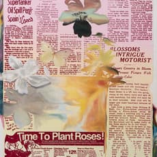 Jessica Taylor Bellamy