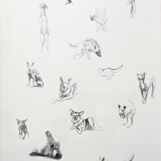 Claudia Martínez Garay