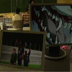 Denicolai and Provoost