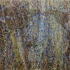 Song Guiyu