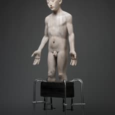 Du Chunfeng 杜春风