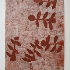 Nyapanyapa Yunupingu