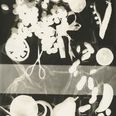 Leslie Gill