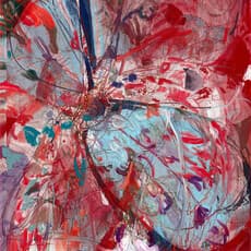 Lisanne Haack