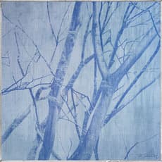 Alexander Sebastianus Hartanto