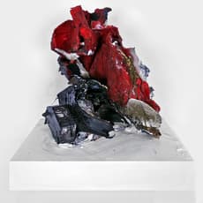 Cristina Lei Rodriguez