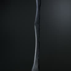 Masaomi Raku