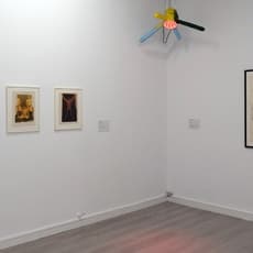 Franz West & Andreas Reiter Raabe