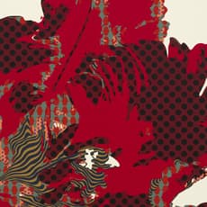 Jin Ah Sohn