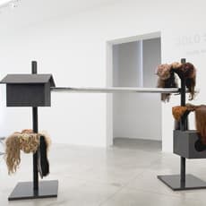 Natascha Sadr Haghighian