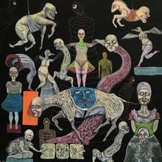 Ivan Veliz Villalobos