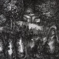 Rozemarijn Westerink