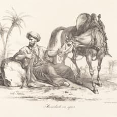 Carle Vernet