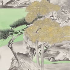Luo Ying