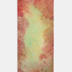 Isabella Russo Siqueira