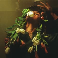 felicita maynard