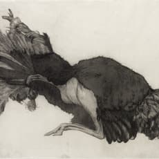 Hugo Wilson