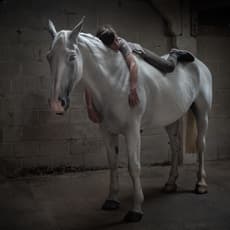Mieke Douglas
