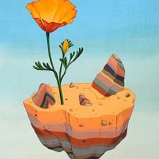 Allison Bamcat