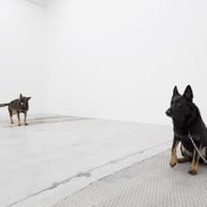 Jens Haaning and Magnus Wallin