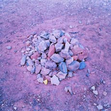 Vasantha Yogananthan