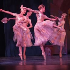 Marco Sitran, Bayadére (2015)