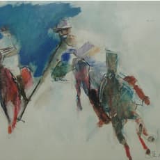 Jan Peter Van Opheusden