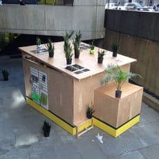 Radamés 'Juni' Figueroa