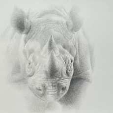 Holly Lowen