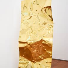 Charlotte Wong
