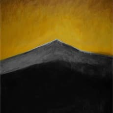 Wang Yizhou 汪一舟