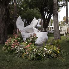 Maria Cristina Carbonell