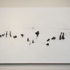 Shiro Tsujimura