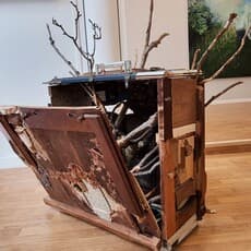 Camila Rodríguez Triana