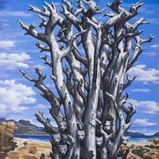 José García Cordero