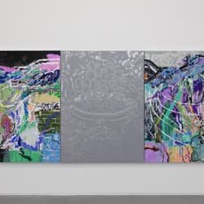 Jin Jinghong 金景鸿