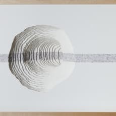 Scott Hazard